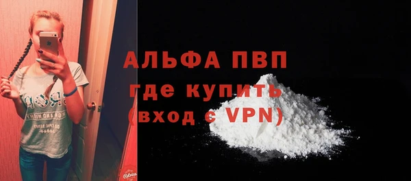 ПСИЛОЦИБИНОВЫЕ ГРИБЫ Кукмор