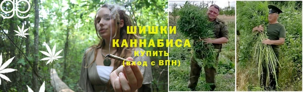 ПСИЛОЦИБИНОВЫЕ ГРИБЫ Кукмор