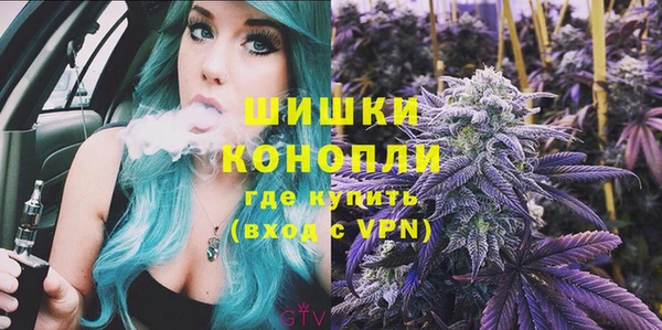 ПСИЛОЦИБИНОВЫЕ ГРИБЫ Кукмор